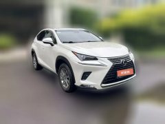 2020 Lexus NX 2020 2.5L AT 300h FWDFeng ShangEdition China VI (Imported) #2