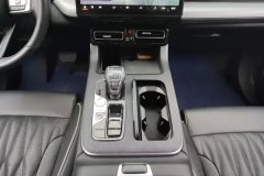 2023 GAC Trumpchi Trumpchi GS8 2022 PilotSeries 2.0TGDI AT 2WDLuxurySmart Connect（7Seat） #16