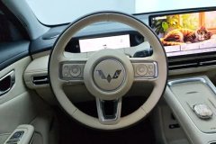 2025 Wuling Motors Wuling Bingo S 2025 430km Flagship #15