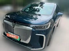 2025 Voyah Taishan 2026 Max #1