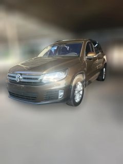 2019 Volkswagen Tiguan 2017 1.8T AT 300TSIsilk roadFashion #1