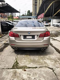 2015 BMW 5 Series 2014 2.0T AT 525LiLeading #5