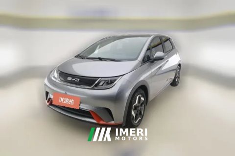 2022 BYD Dolphin 2021 405km Fashion