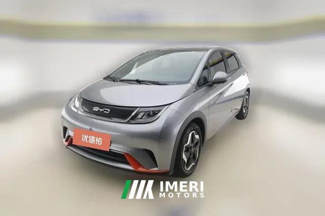 2022 BYD Dolphin 2021 405km Fashion