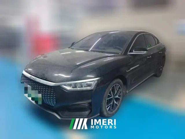 2023 BYD E9 2022 Business