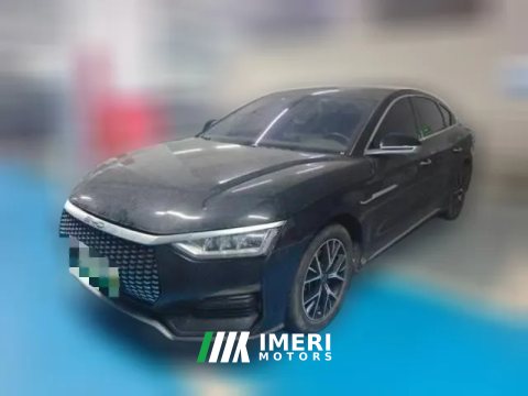 2023 BYD E9 2022 Business
