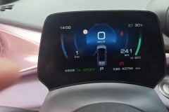 2022 BYD Dolphin 2021 401km knightEdition #14