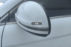 Left Exterior Mirror