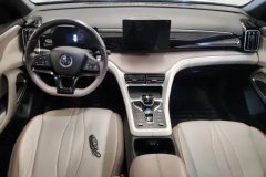 2024 BYD Song Pro PHEV 2024 Glory 1.5L AT DM-i 71KMPilot #12