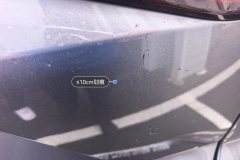 Trunk Lid