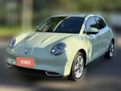 2024 Ora Good Cat 2024 401km Comfort #1