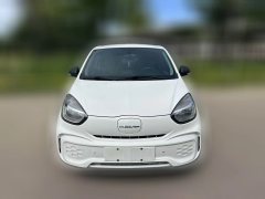 2020 Roewe Clever 2021 302km AT Excellence #2