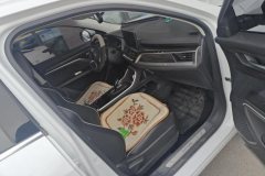 2022 Haval H6 2021 1.5T AT China tideChampion #8