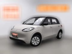 2024 Wuling Motors Wuling Bingo 2024 203km Enjoy lightly #1