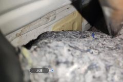 Right Rear Carpet
