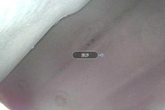 Left Sill Inner Cavity