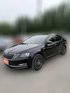 2018 Škoda Octavia 2018 1.6 AT Luxury #1