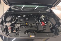 2023 Toyota Wildlander 2023 2.0L AT CVT4WDLuxuryPLUSEdition #10