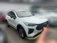 2022 Haval Chitu 2022 Power Enjoy 1.5T AT Copper Rabbit #3
