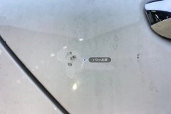 Right Rear Door