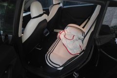 2023 Tesla Model 3 2022 rear wheel driveEdition #11