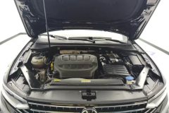 2023 Volkswagen Magotan 2023 2Million Edition 2.0T AT 330TSI DSGLuxury #10