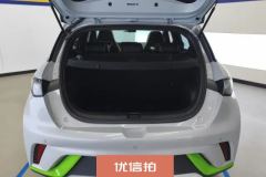 2022 BYD Dolphin 2021 405km Fashion #4