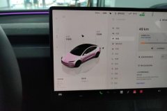 2025 Tesla Model 3 2025 rear wheel driveEdition #14