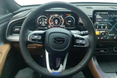 2025 GAC Trumpchi Trumpchi GS8 2025 PilotSeries 2.0TGDI AT 2WDLuxury 5Seat #15
