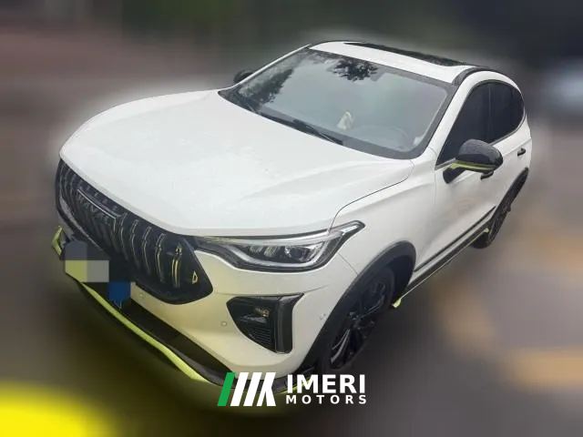 2022 Haval Chitu 2021 1.5T AT ProvokingEdition Platinumrabbit