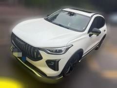 2022 Haval Chitu 2021 1.5T AT ProvokingEdition Platinumrabbit #1