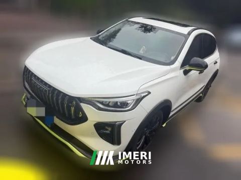 2022 Haval Chitu 2021 1.5T AT ProvokingEdition Platinumrabbit