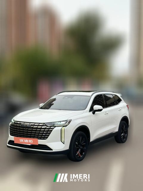 2024 Haval H6 2024 1.5T AT 2WDMax