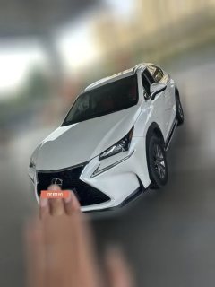 2017 Lexus NX 2017 2.0 AT 200Feng XingEditionFWD (Imported) #1