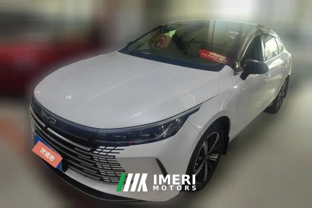 2023 BYD Destroyer 05 2023 Champion 1.5L AT DM-i 120KM Premium