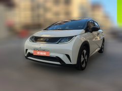 2024 BYD Dolphin 2023 420km freeEdition #1