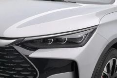 2024 BYD Tang New Energy 2024 DM-p Champion 1.5T AT 215KM 4WDFlagship #5