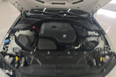 2022 BMW 3 Series 2022 2.0T AT 325Li MSport Pkg #10