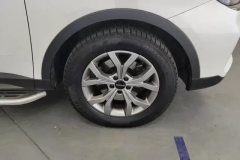 2022 Haval H6 2021 1.5T AT China tideChampion #6