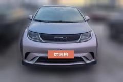 2021 BYD Dolphin 2021 401km knightEdition #2