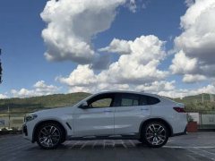 2019 BMW X4 2019 2.0T AT 25i MOff-road package (Imported) #9
