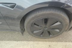 2025 Tesla Model 3 2025 rear wheel driveEdition #6