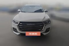 2022 Haval H6 2021 1.5T AT China tideChampion #2