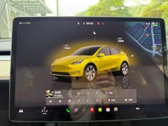 2023 Tesla Model Y 2023 rear wheel driveEdition #11