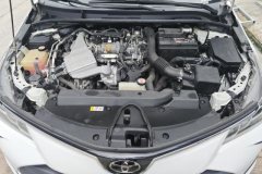 2019 Toyota Corolla 2019 1.2T AT S-CVT GLPioneer #10