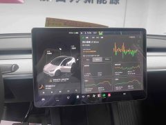 2024 Tesla Model Y 2023 rear wheel driveEdition #13