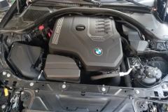 2021 BMW 3 Series 2022 2.0T AT 325Li M M Sport Shadow #10