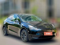 2022 Tesla Model Y 2022 rear wheel driveEdition #2
