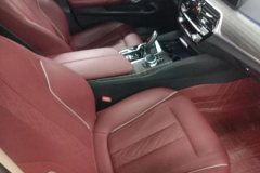 2021 BMW 5 Series 2021 2.0T AT 530LiLeadingLuxury Pkg #8