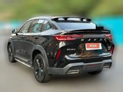 2021 Haval H6S 2022 2.0T AT 2WDYue PaoEdition #6